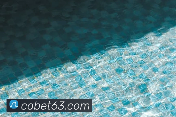 App 展示图